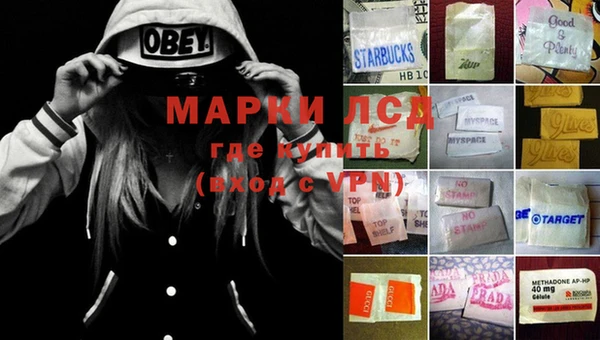 мдпв Заводоуковск
