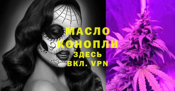 мдпв Заводоуковск