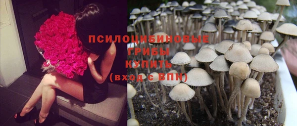 мдпв Заводоуковск