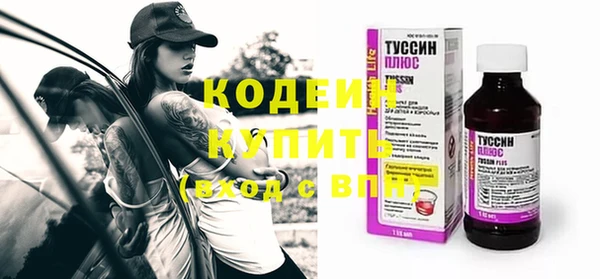 мдпв Заводоуковск
