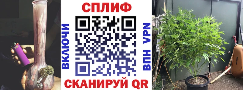 Марихуана Amnesia  Купить закладки  Кудымкар 
